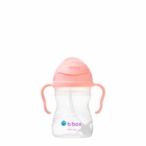 Ūdens pudele bērnam B.BOX Sippy cup Tutti Frutti 240ml